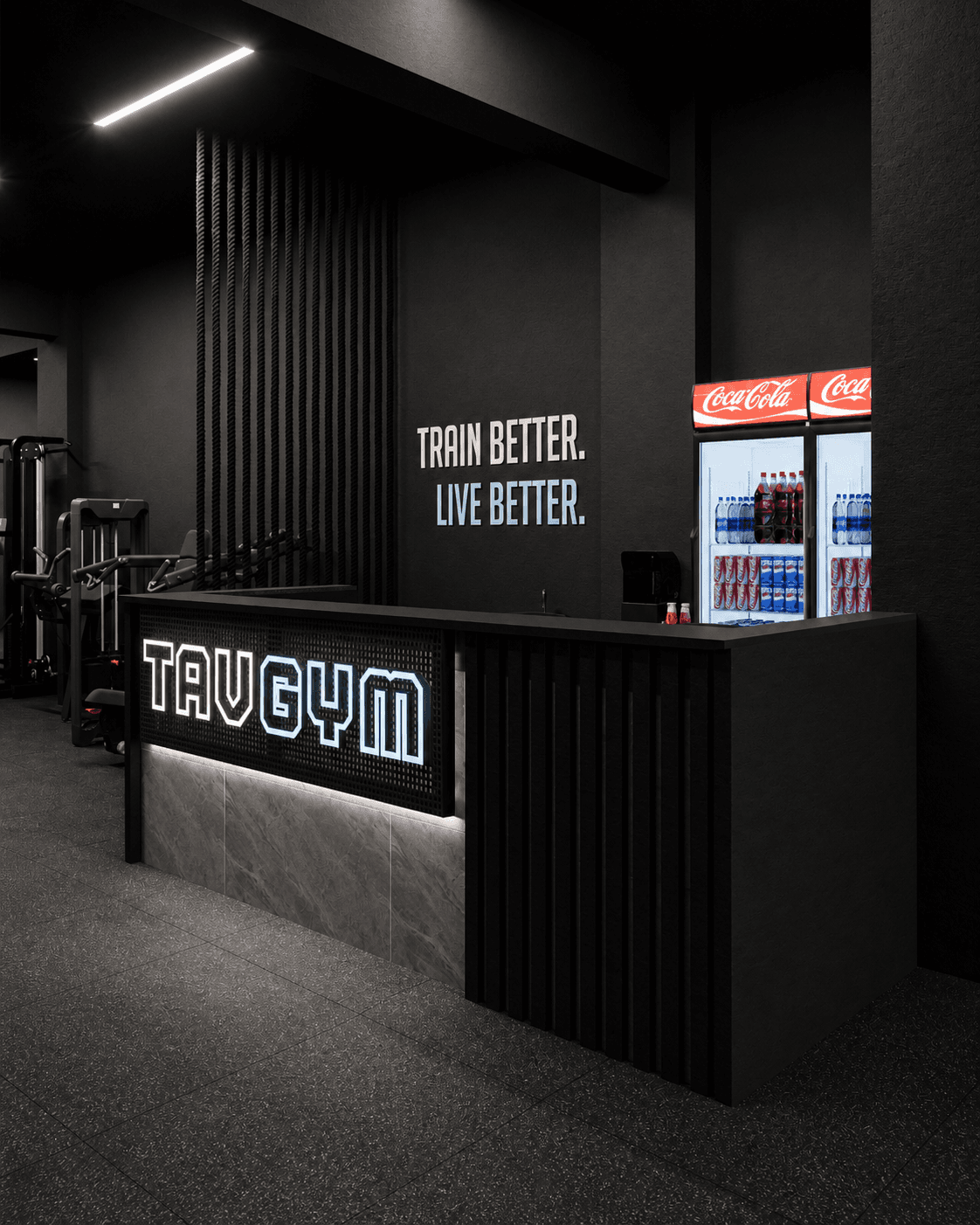 Recepția TAV GYM — perspectivă dinspre sală
